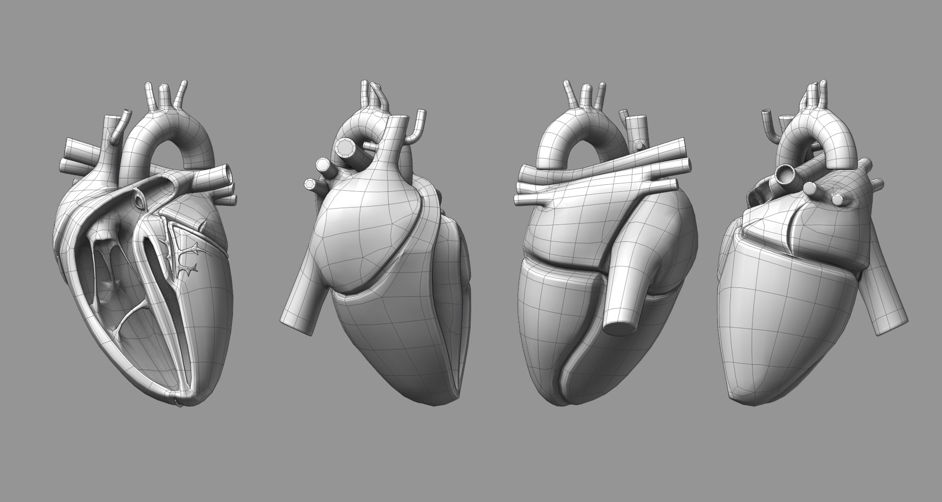 Heart 3D